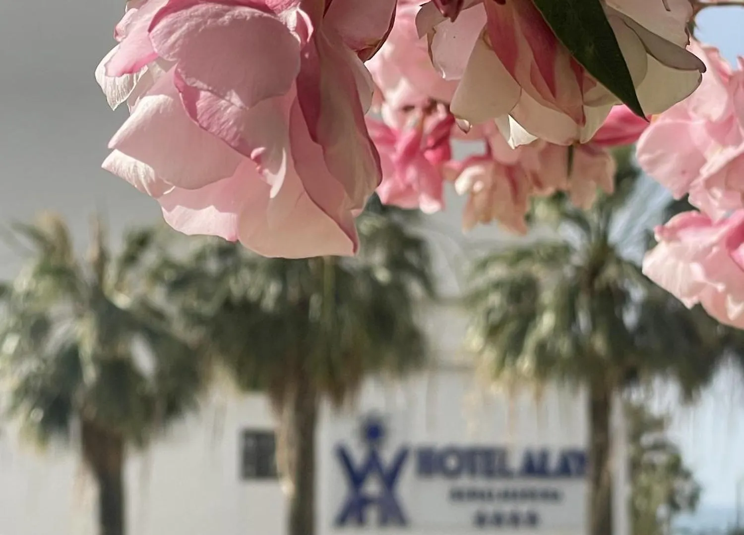 Apartmán Alay Benalmádena